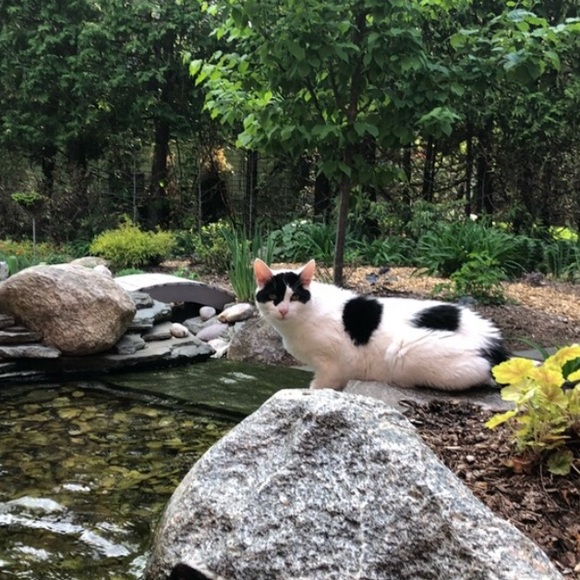 About My Home & Closet - Picture 3 of 7